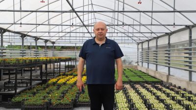 Belediye Serasında Üretilen Çiçekler Gönen’i Süsleyecek Gönen Belediyesi, ilçe genelindeki park, bahçe ve yeşil alanlarda kullanılmak