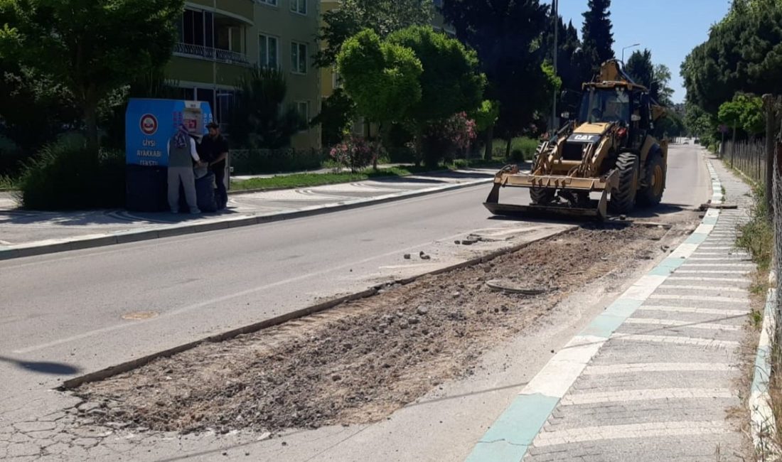 Susurluk’ta ekiplerden sahada yoğun çalışma Susurluk Belediyesi Fen İşleri ekipleri, Muradiye, Söve, İstasyon Caddesi, Sanat