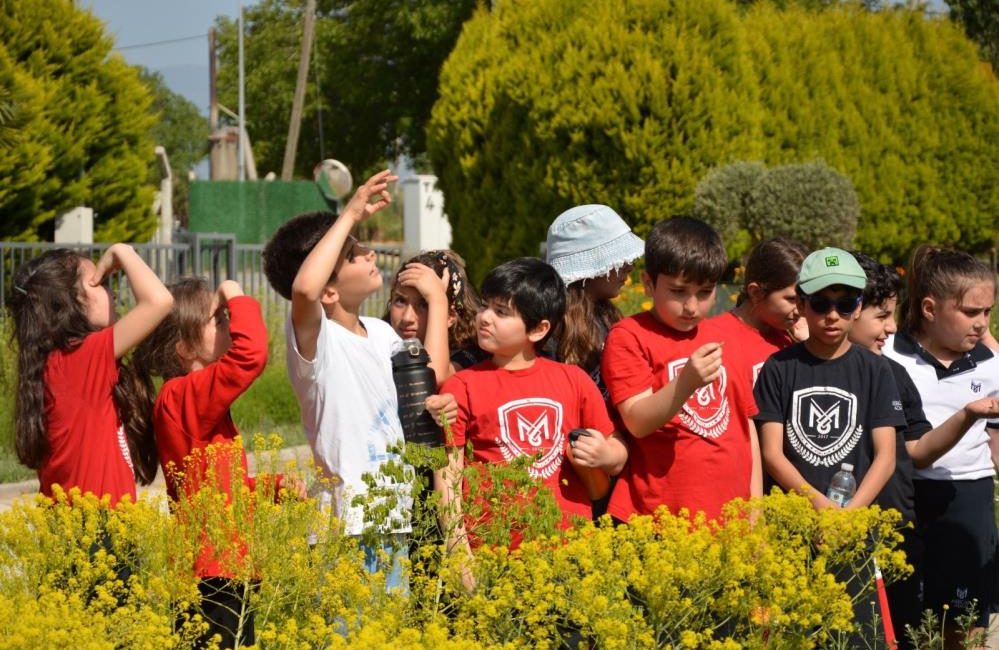 Balıkesir Büyükşehir Belediyesi Kırsal Hizmetler Dairesi Başkanlığı bünyesinde faaliyet gösteren