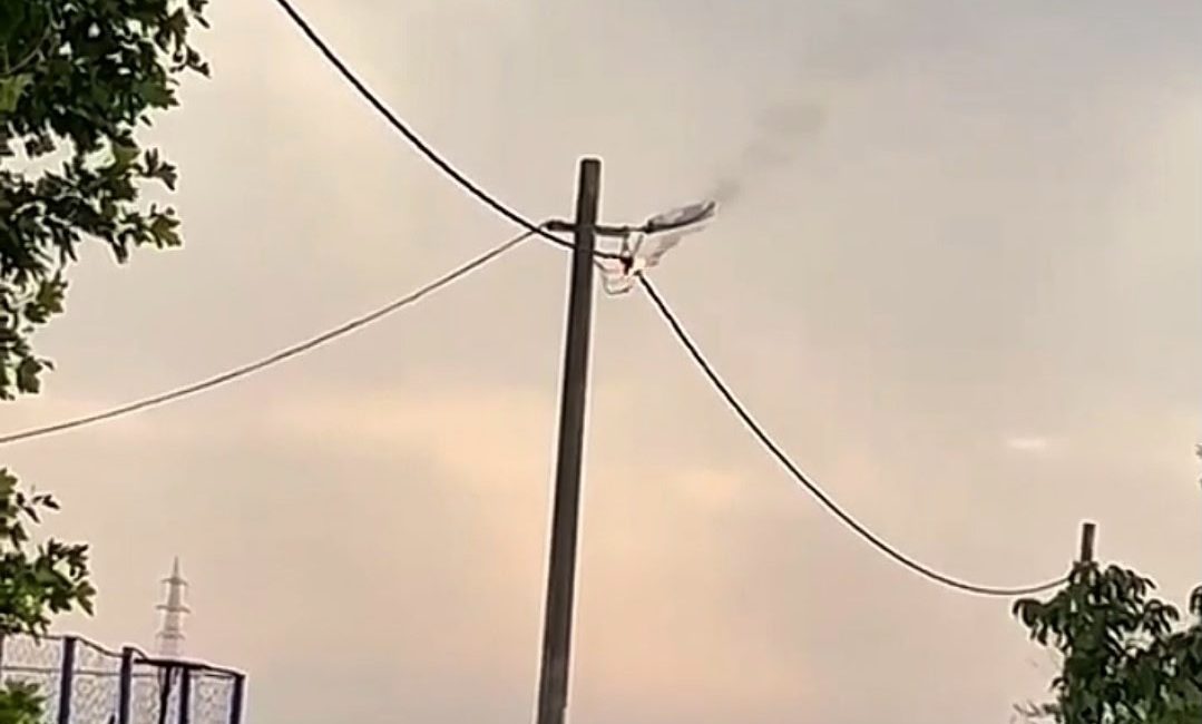 Bandırma’da elektrik hattında korku dolu anlar Doğanpınar Mahallesi’nde sabah saatlerinde elektrik hattında meydana gelen arıza mahalle
