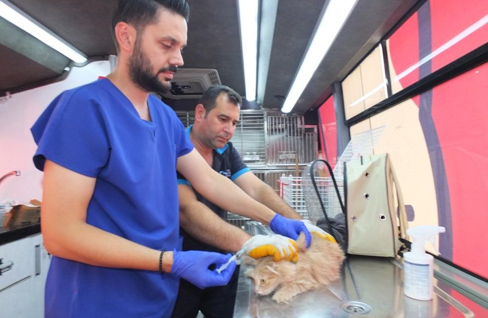 Balıkesir’de Can Dost 18 bin sokak hayvanına sağlık hizmeti verdi Balıkesir’de Can Dost 18 bin sokak hayvanına sağlık hizmeti verdi