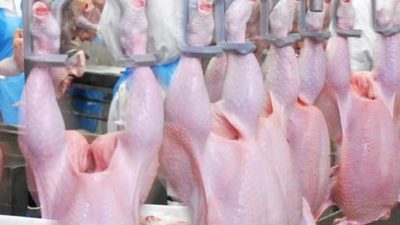 Beyaz et sektöründe haksız fiyat artışları ve rekabet ihlali iddialarına