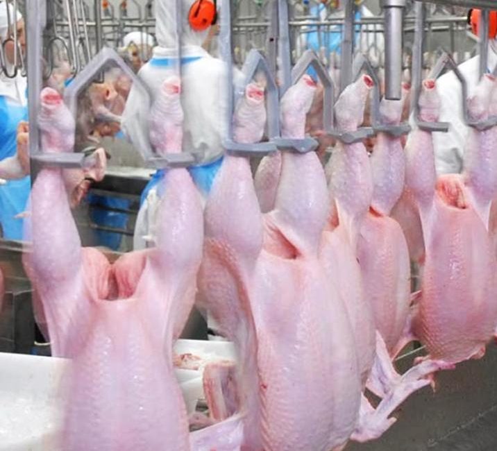 Beyaz et sektöründe haksız fiyat artışları ve rekabet ihlali iddialarına