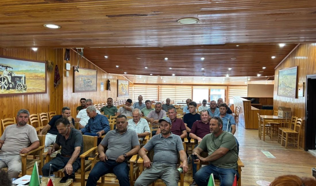 Gönen’de hububat hasadıyla birlikte tavsiye edilen biçim ücretleri de yürürlüğe