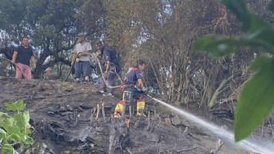Marmara ‘da kuru otların tutuşmasıyla başlayan yangın, itfaiye ekiplerinin zamanında