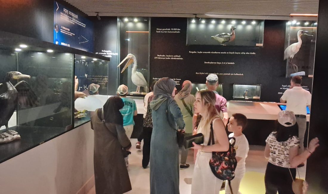 Kuşcenneti’nde Eğitim ve Doğa Bir Araya Geldi Bandırma Hürriyet İlkokulu öğrencileri, öğretmenleri ve velilerinin katılımıyla gerçekleştirilen doğa