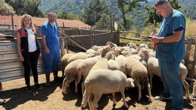 Burhaniye ilçesinde hayvancılığın sürdürülebilirliği ve hayvan sağlığının korunması amacıyla yürütülen