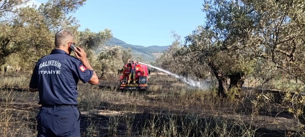 Balıkesir Ziraat Odası Başkanı Demirbay: “Bir yıllık emek bir sigara izmaritiyle kül olmasın” Balıkesir Ziraat Odası Başkanı Rahmi Demirbay, sıcak havayla birlikte tarım
