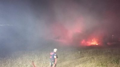 Bandırma’ da eski askeri çamlık alanda meydana gelen yangın, itfaiye