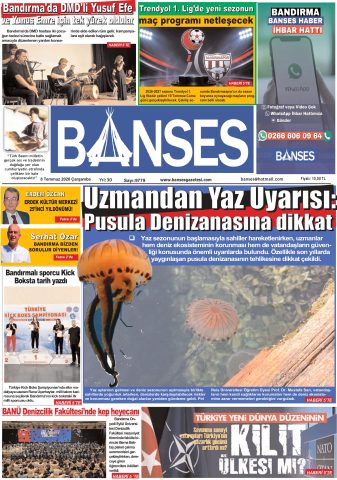 Yayın