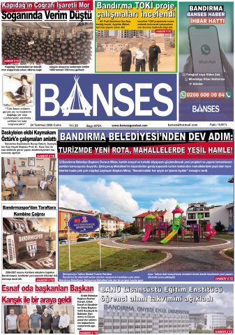 Yayın