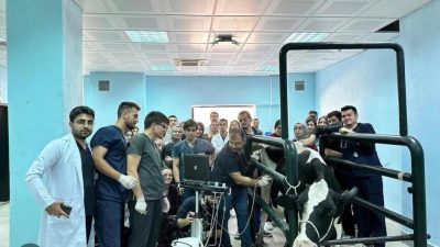 Balıkesir Üniversitesi Veteriner Fakültesi ve Hayvan Hastanesi Bölgenin şifa merkezi