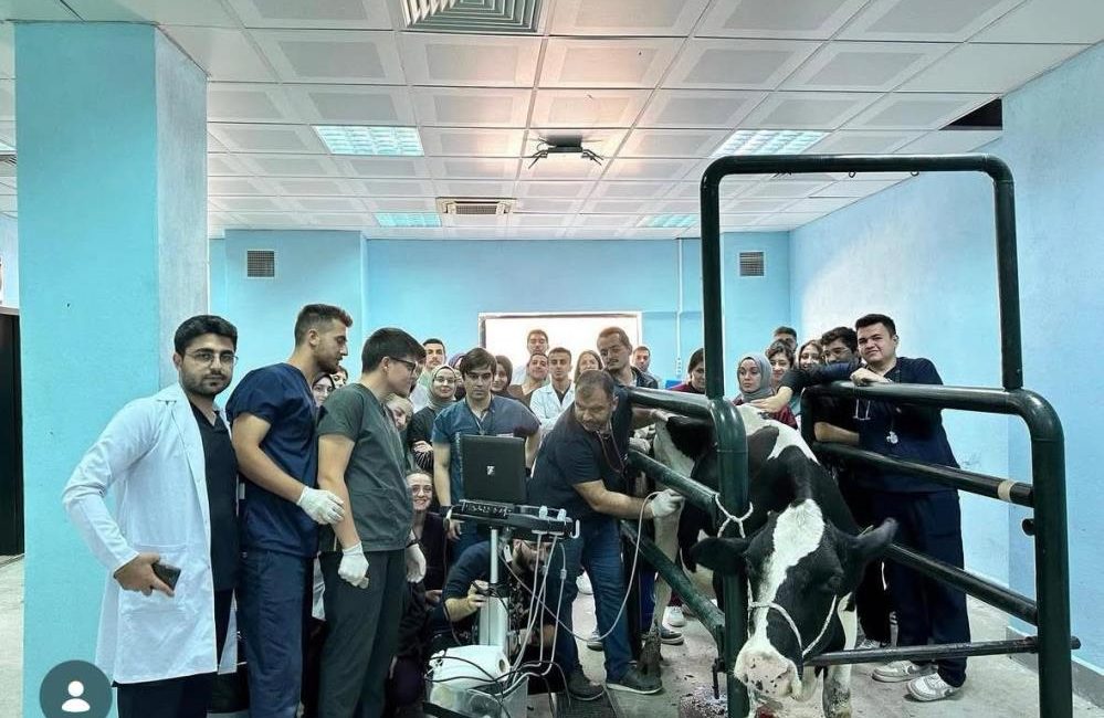 Balıkesir Veteriner Fakültesinde bin 250 hasta hayvana teşhis ve tedavi hizmeti sunuldu Balıkesir Üniversitesi Veteriner Fakültesi ve Hayvan Hastanesi Bölgenin şifa merkezi