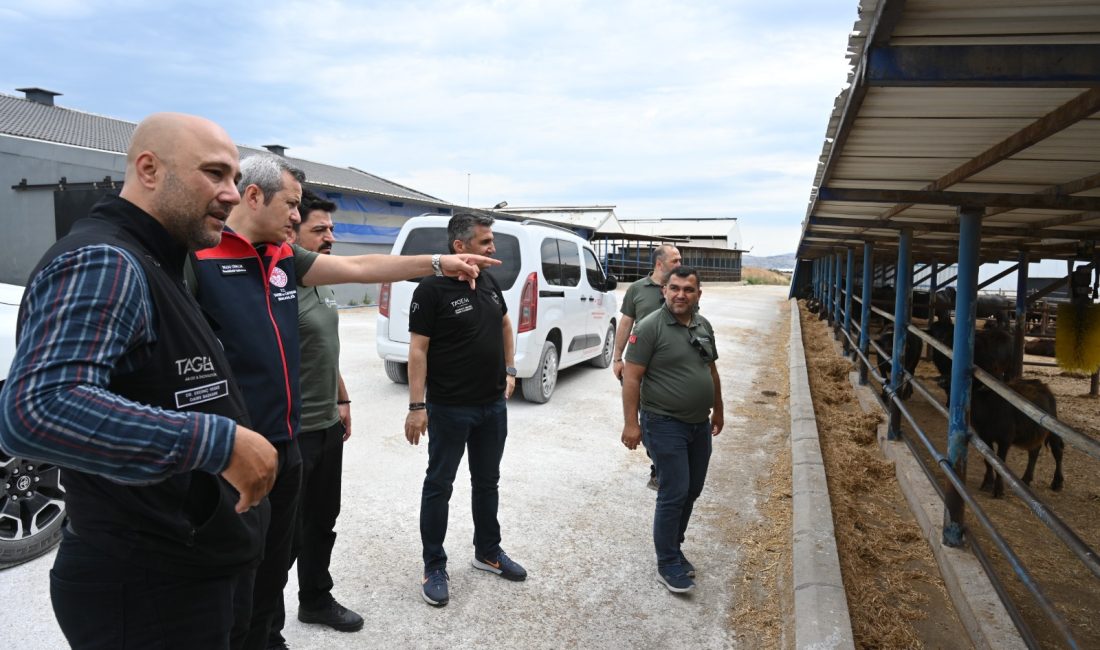 HAYGEM Genel Müdür Yardımcısı Sezai Cibelik ile Hayvan Sağlığı ve