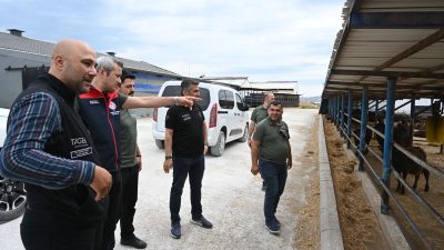 HAYGEM Genel Müdür Yardımcısı Sezai Cibelik ile Hayvan Sağlığı ve