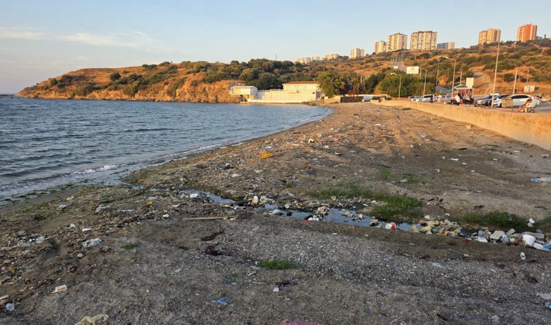 Bandırma Livatya Sahili yine atıklarla karşı karşıya Livatya Sahili’nde rüzgâr ve dalgaların etkisiyle kıyıya taşınan atıklar, kısa