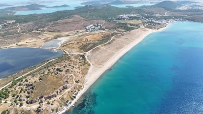 Ayvalık’ın dünyaca değerli endemik bitkisi kum zambakları, bu kez bilinçsiz