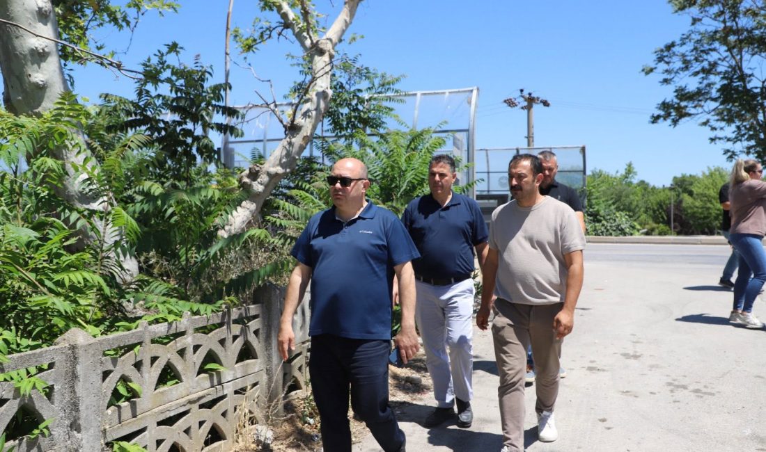Gönen Köprüsü ve çevresinde yapılacak peyzaj ve çevre düzenleme çalışmaları