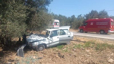 Edinilen bilgiye göre, Hamambaşı Mahallesi İnönü yolu Hançerli mevkiinde seyreden
