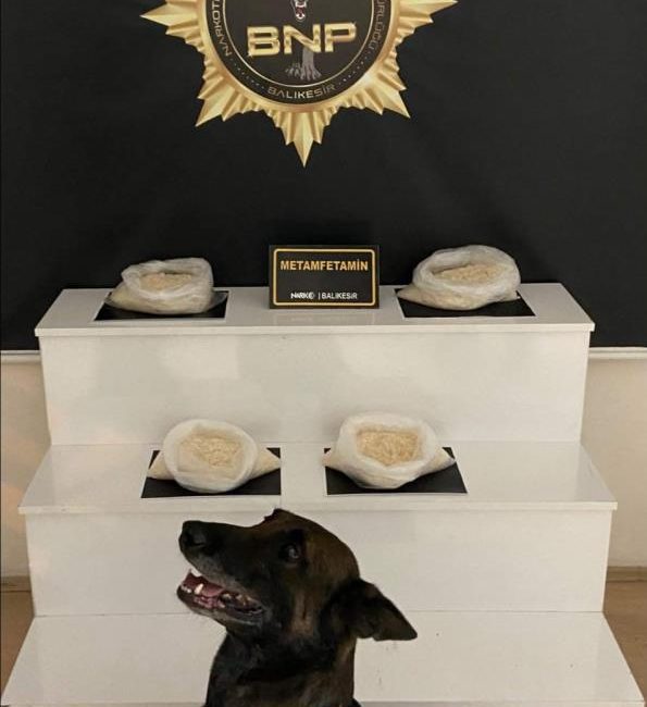  Savaştepe’de narkotik polisleri ve narkotik köpeği ‘Dangal’ın da katıldığı operasyonda