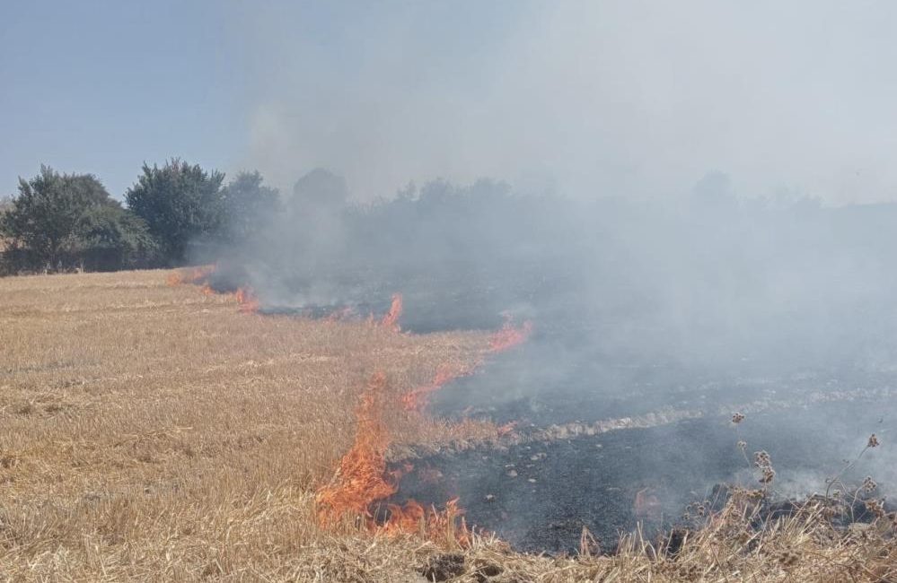 Bandırma’da anız ve çalılık alanda çıkan yangın söndürüldü Bandırma’da anız ve çalılık alanda meydana gelen yangın, itfaiye ekiplerinin