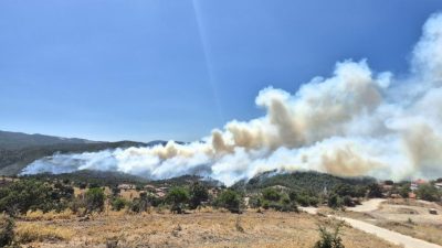 Balıkesir’in Gömeç ilçesinde dün öğle saatlerinde başlayan yangın sürüyor. Sabah