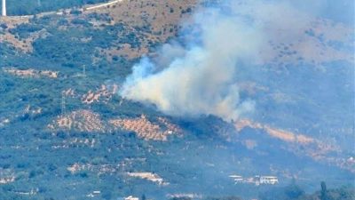 Narlı Mahallesi’nde ormanlık alanda çıkan yangına ekiplerin havadan ve karadan