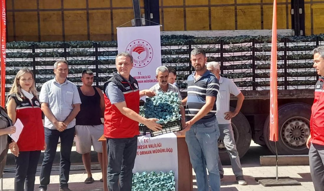 Balıkesir’de Tarım Arazilerinin Kullanımını Etkinleştirme Projesi kapsamında dağıtılan fideler, yüzde