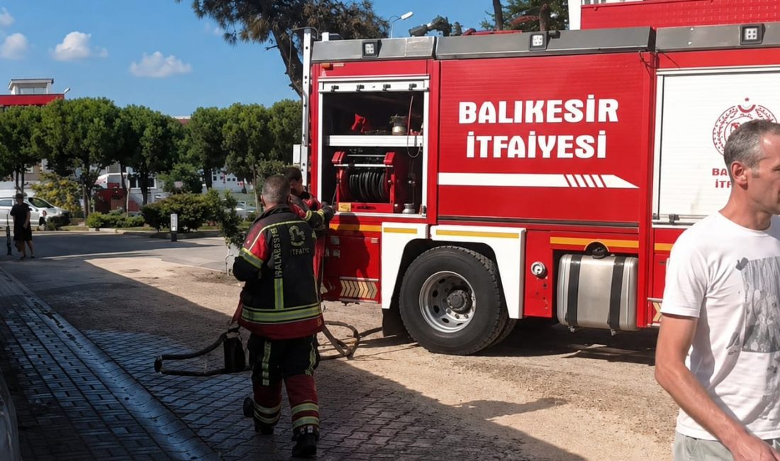 Düğün konvoyunda atılan havai fişeğin çam ağacını yakmasının belirlenmesiyle birlikte