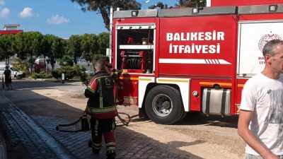 Düğün konvoyunda atılan havai fişeğin çam ağacını yakmasının belirlenmesiyle birlikte