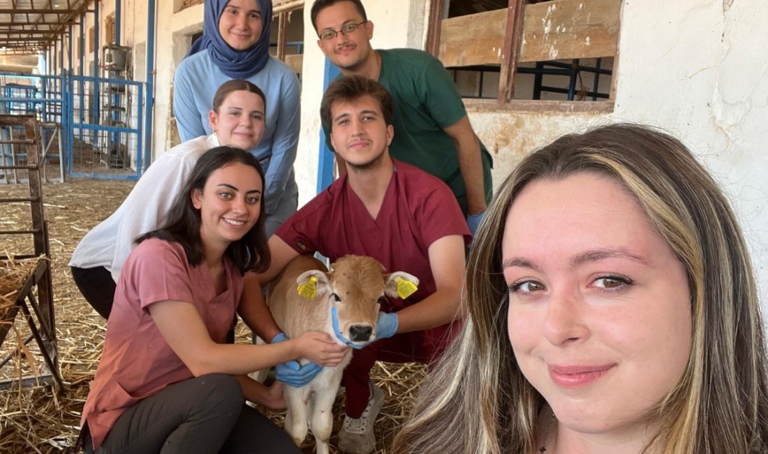 Bandırma Koyunculuk Araştırma Enstitüsü’nde genç öğrencilere staj fırsatı Bilimsel çalışmaların uygulamalı olarak takip edildiği Bandırma Koyunculuk Araştırma Enstitüsü’nde