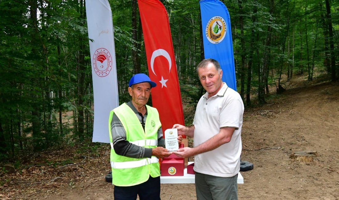 Kayın üretimi ve Sahil Çamı bakım çalışmalarını değerlendiren Bölge Müdürü