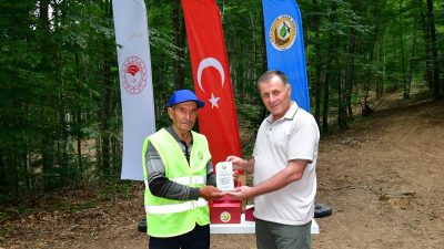 Kayın üretimi ve Sahil Çamı bakım çalışmalarını değerlendiren Bölge Müdürü
