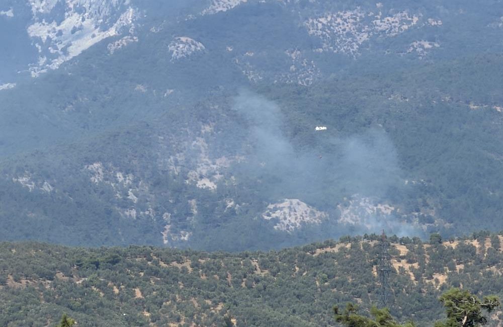Zeytinlikte çıkan yangın Kazdağı Milli Parkı’na sıçradı Mehmetalan Mahallesi üst kesimlerinde zeytinlik alanda başlayan yangın, rüzgarın da
