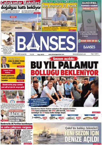 Yayın