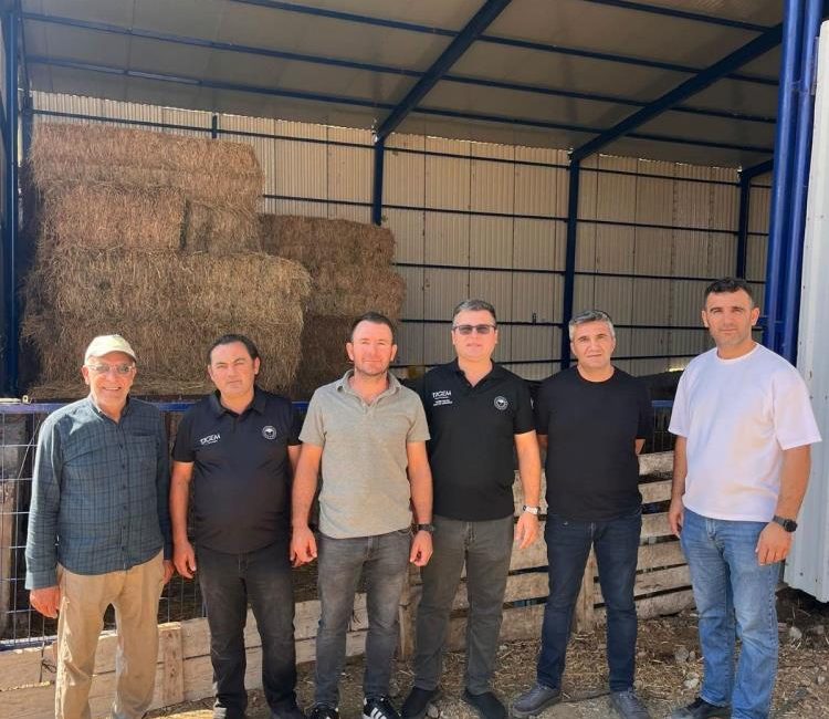 Bandırma Koyunculuk Araştırma Enstitüsü Müdürü Kerim Kılınç, Manyas bölgesinde faaliyet