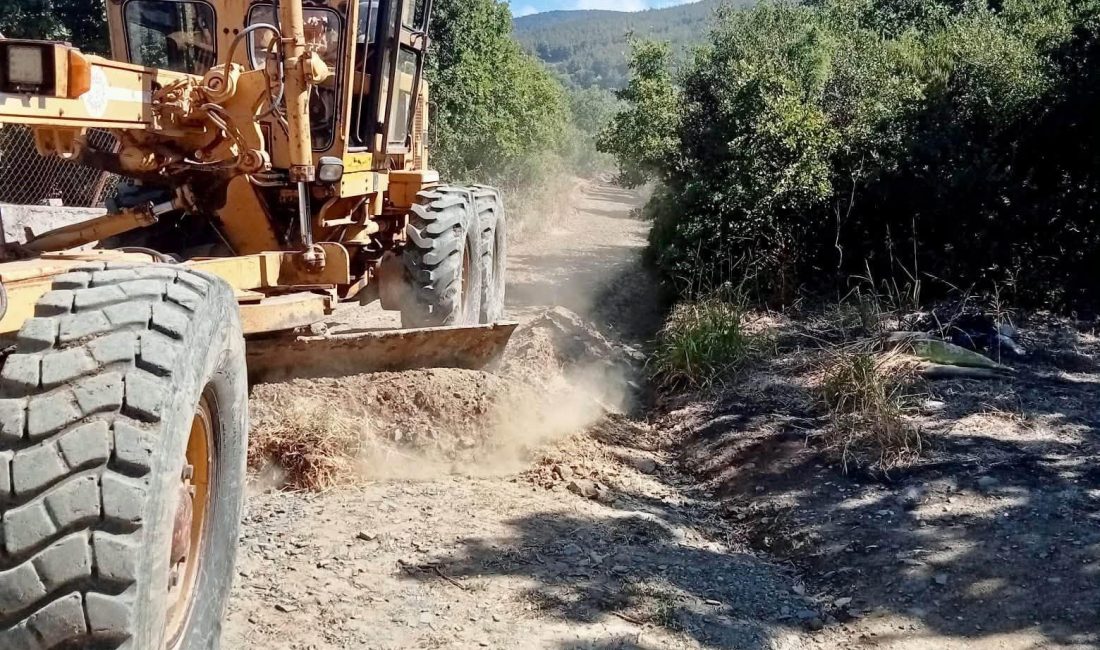 Erdek’te zeytin hasadı öncesi bahçe yollarına bakım Erdek’te yaklaşan zeytin hasadı öncesinde tahribata uğrayan bahçe yollarında bakım