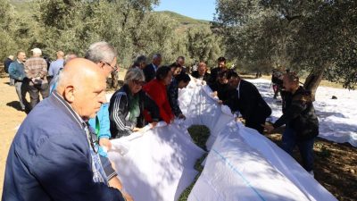 Avrupa Birliği (AB)’nden coğrafi işaret tescilli Edremit Zeytinyağı’nı geniş kitlelere