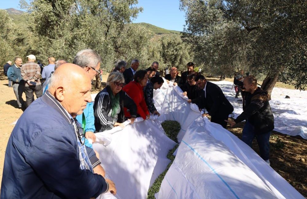 Avrupa Birliği (AB)’nden coğrafi işaret tescilli Edremit Zeytinyağı’nı geniş kitlelere