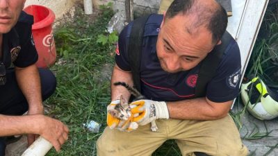 Erdek iki binanın duvarı arasına sıkışan yavru kedi, ekiplerin müdahalesiyle
