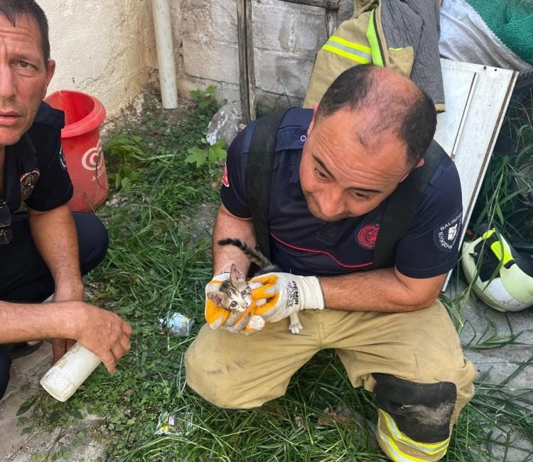 Erdek’te iki bina arasına sıkışan yavru kedi kurtarıldı Erdek iki binanın duvarı arasına sıkışan yavru kedi, ekiplerin müdahalesiyle