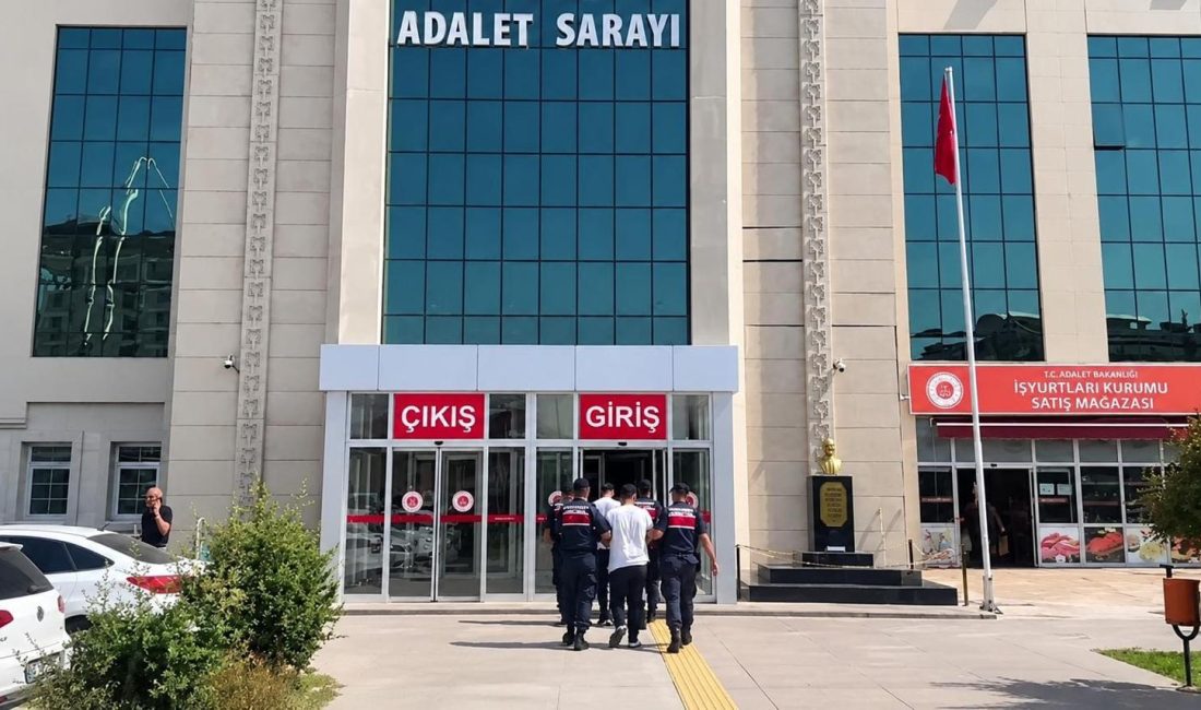 andarma operasyonlarında milyonlarca uyuşturucu hap ele geçirildi 28 ilde gerçekleştirilen çalışmalarda yasa dışı ekimi yapılan kenevir ve
