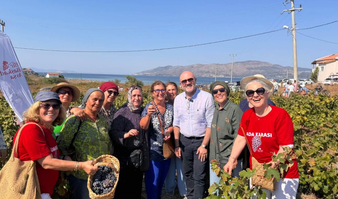 Marmara Adalar’da Adakarası Üzümü bereketi Marmara Adalar’da düzenlenen festivalde Adakarası Üzümü’nün kültürel mirası öne çıkarıldı.