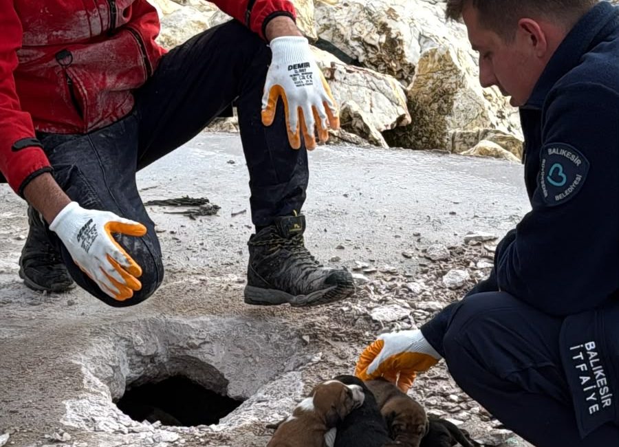 Erdek’te 6 yavru köpeğin kurtarılması için beton zemin kırıldı Deniz kenarında mahsur kalan 6 yavru köpeğe ulaşmak için beton