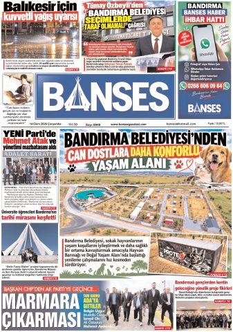 Yayın
