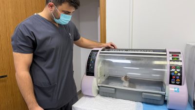 Bandırma’da bir çocuk tarafından şiddete maruz kalan yavru kedinin, veteriner
