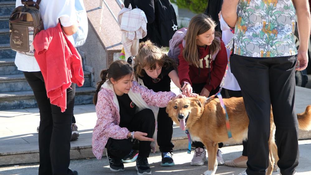 Veteriner Fakültesinde düzenlenen etkinlikte, öğrenciler hayvan sağlığı ve veteriner hekimlik