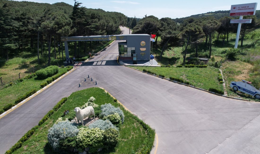 Bandırma’daki Enstitüde elektrik ve su altyapısına güçlendirme Orta Gerilim hattının yer altına taşınması için yatay yönlendirilebilir sondaj