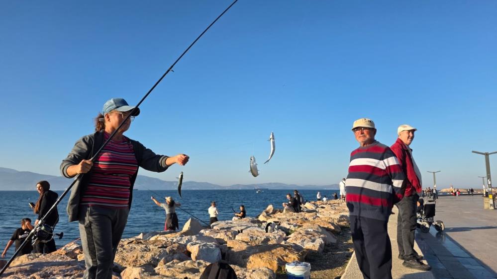 Bandırma sahilinde tırsi bereketi, kovalar kısa sürede doldu Bandırma’da hava sıcaklıklarının 25 dereceye kadar yükselmesiyle birlikte vatandaşlar, güzel