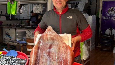Bozcaada açıklarında yakalanan 15 kilogramlık kalamar, Odunluk İskelesi üzerinden Bandırma’ya